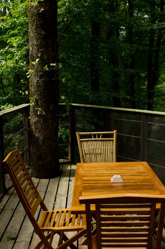 Cabane des Chimpanzés à Magné (4)