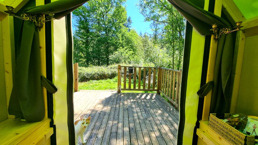 Hébergement AbracadaRoom : Cachette d'Ambre - Cabane - Image 6