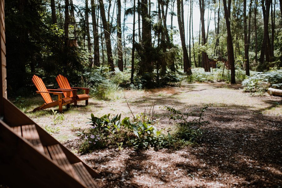 Hébergement AbracadaRoom : Tiny house - La Plume - Image 18