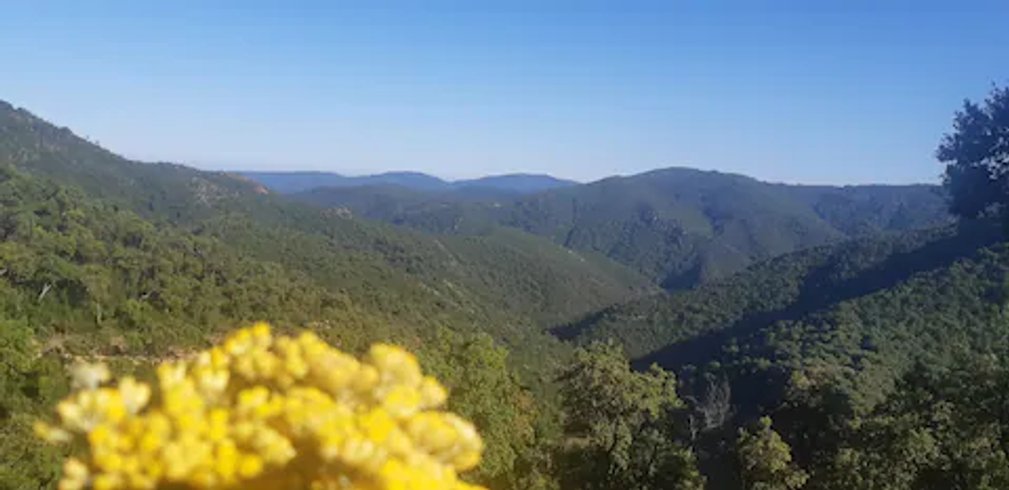 Hébergement AbracadaRoom : La Roulotte Verte - Image 15