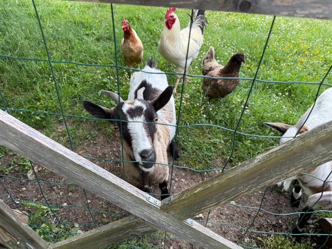 Hébergement AbracadaRoom : La parenthèse enchantée - Image 24