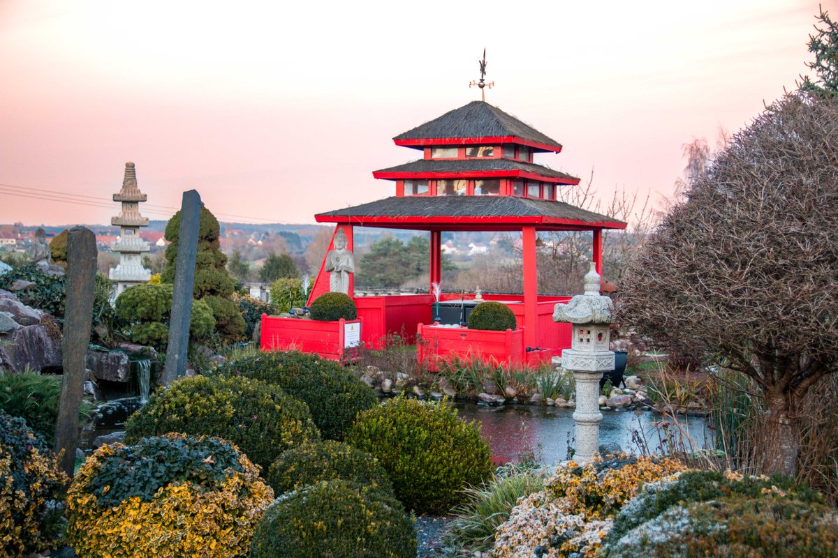 Le Dôme du Levant & Spa, Cinéma à Holving (21)
