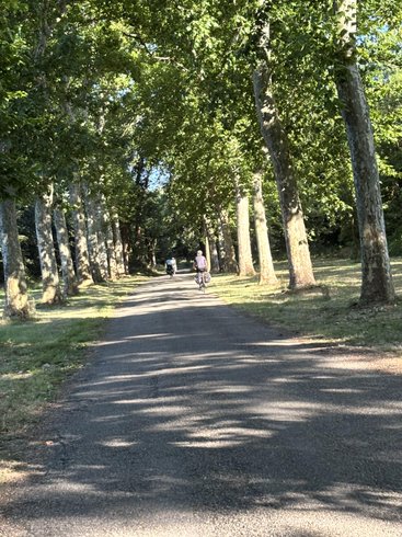 Domaine AbracadaRoom : Domaine de Senaud - Image 19