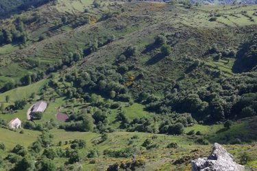 La Clairière de Peylenc - Refuge en Velay à Saint-Pierre-Eynac (4)