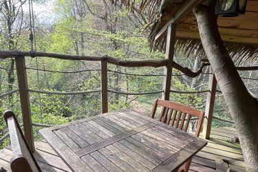 Berceau à St Germain Des Essourts (4)