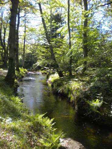 Domaine AbracadaRoom : Le Domaine de Campras - Image 3
