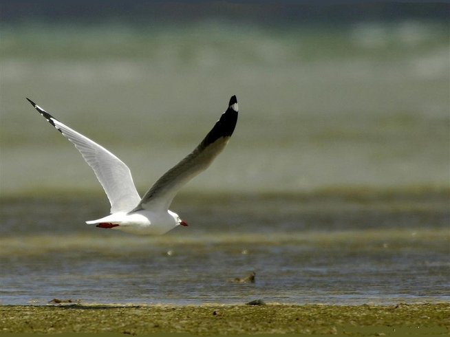 Domaine AbracadaRoom : Un Lit au Pré - Ô Manoir de Glam's - Image 14