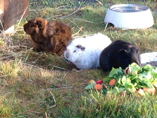 Domaine AbracadaRoom : Parenthèse Nuit - Image 2