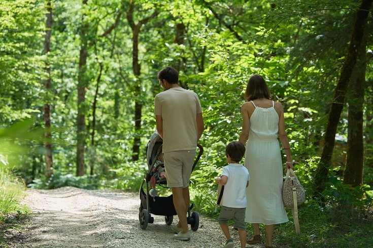 Domaine AbracadaRoom : Nid'en'Ô Les Cabanes dans les Arbres - Image 1