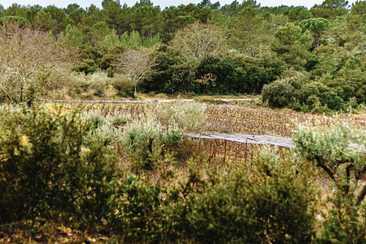 Hébergement AbracadaRoom : Homnest -Mélodie Provençale en Sainte-Baume - Image 10