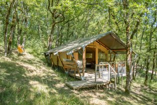 Shimoni, dans les bois