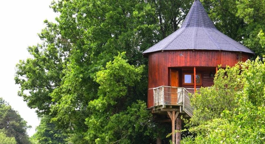 Hébergement AbracadaRoom : Maison dans les Branches n°3 - 4 personnes - Image 2