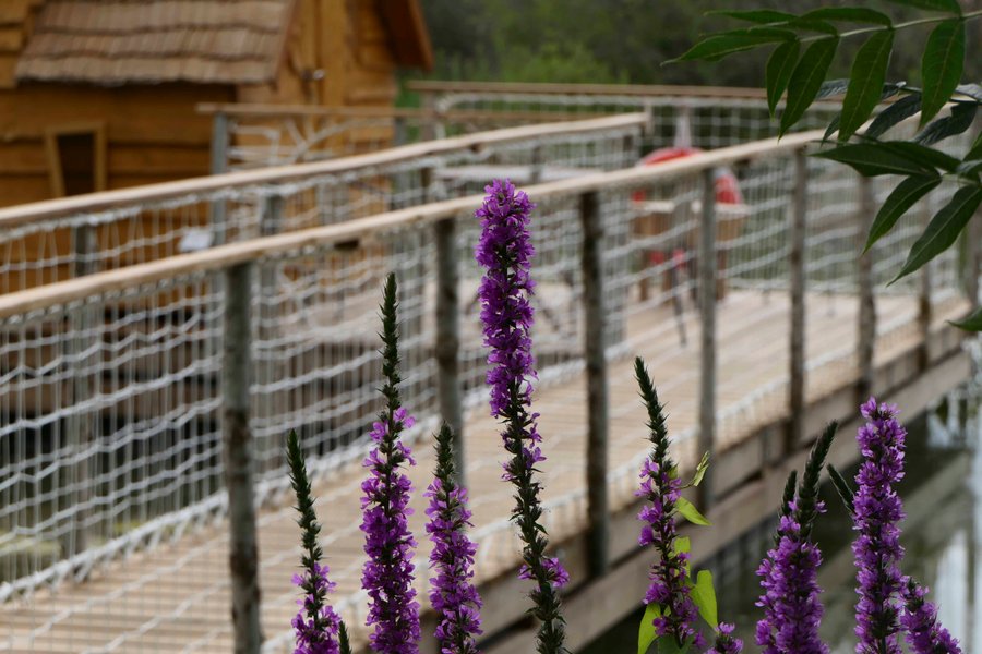 Hébergement AbracadaRoom : La cabane Magique - Image 14