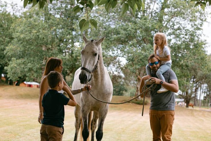 Hébergement AbracadaRoom : Roulotte classique - Campo 4 - Image 5