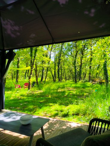 Hébergement AbracadaRoom : Le Refuge Des Bois de Morphée - Image 2