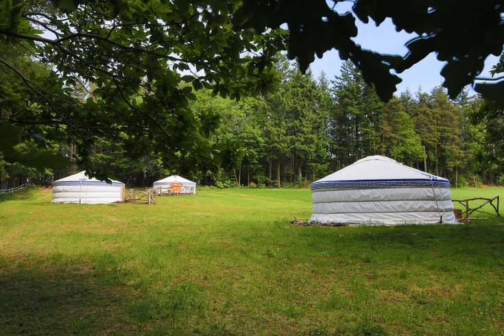 Hébergement AbracadaRoom : Yourte Gobi - Image 3