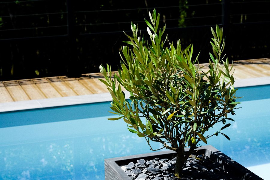 Domaine AbracadaRoom : Game of Dome - Image 3