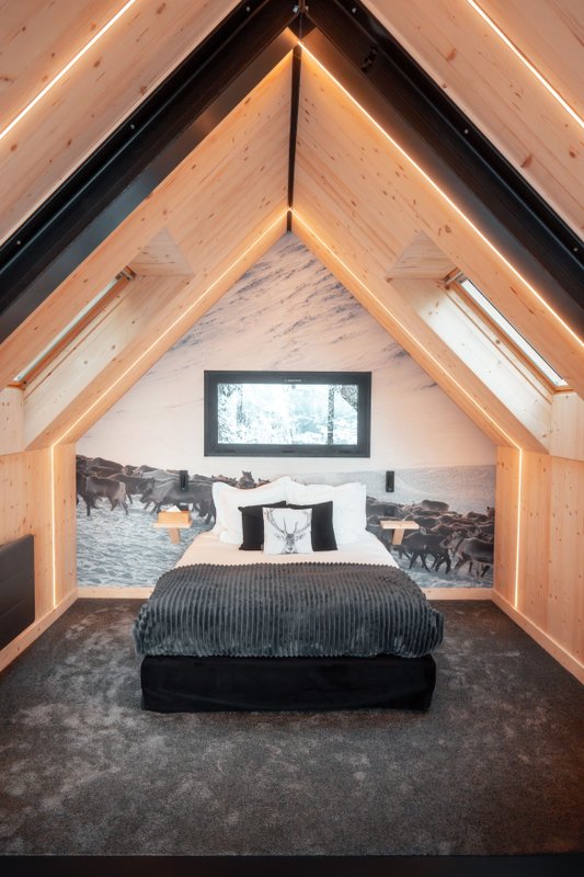 La Cabane "Scandinave" & SPA à Saint Nicolas La Chapelle (6)