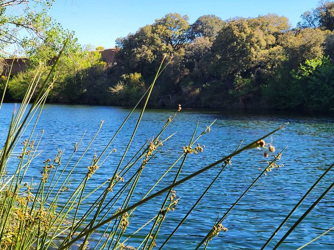 Hébergement AbracadaRoom : Tente Bivouac - Image 6