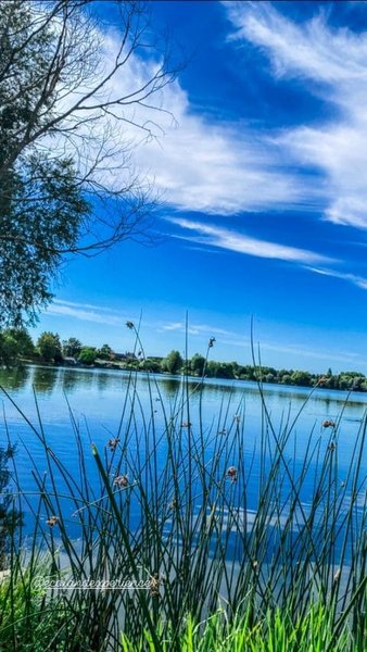 Domaine AbracadaRoom : Ecoland - Image 29