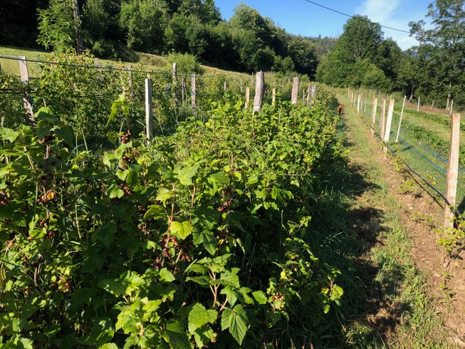 Domaine AbracadaRoom : Par les monts étoilés - Image 8