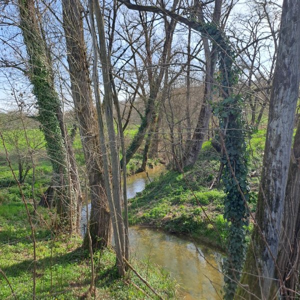 Domaine AbracadaRoom : L'Ephémère - Image 19