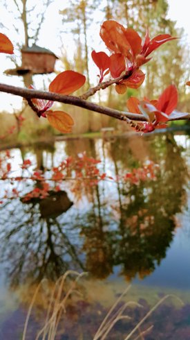 Hébergement AbracadaRoom : La cabane Au fil de l'Eau & Spa & Sauna - Image 18