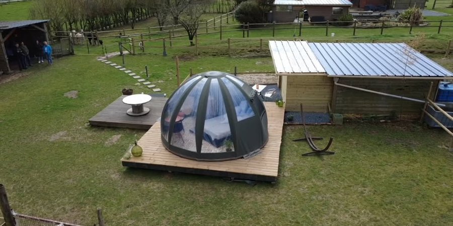 Domaine AbracadaRoom : Les alpagas du clos - Image 17