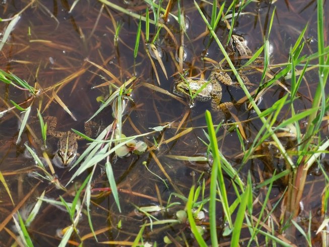 Domaine AbracadaRoom : La Noé verte - Image 11