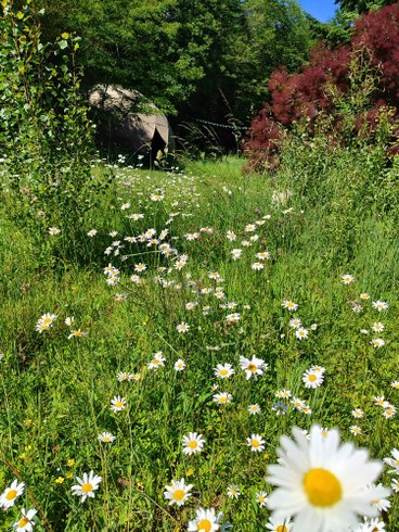 Domaine AbracadaRoom : Le Domaine des Anges - Image 21