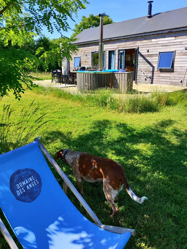 Cabane du Renard & Bain nordique à Le Controis-En-Sologne (2)