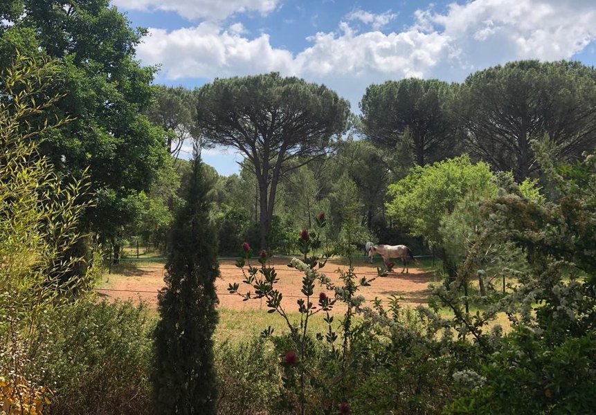 Domaine AbracadaRoom : Les Ecuries du Soleil - Image 24