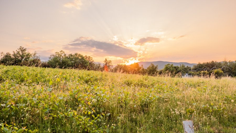 Hébergement AbracadaRoom : Le Paradis des Albères - Refuge Vue Mer & Montagne - Image 76