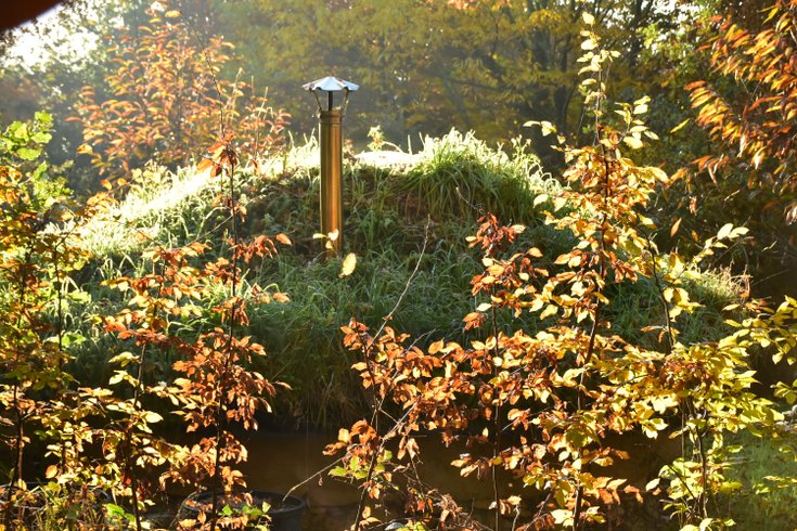 Domaine AbracadaRoom : The International Love-Shack Camp - Image 4