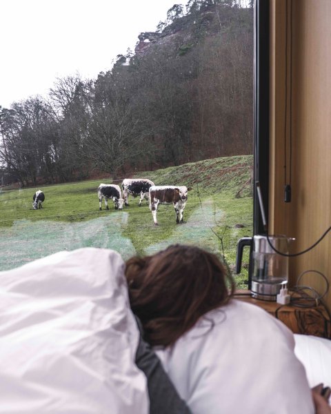 Hébergement AbracadaRoom : Lodge Lièvre - Image 14