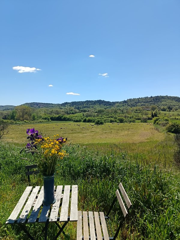 Yourte à la ferme des bréguières à Esparron De Pallieres (12)