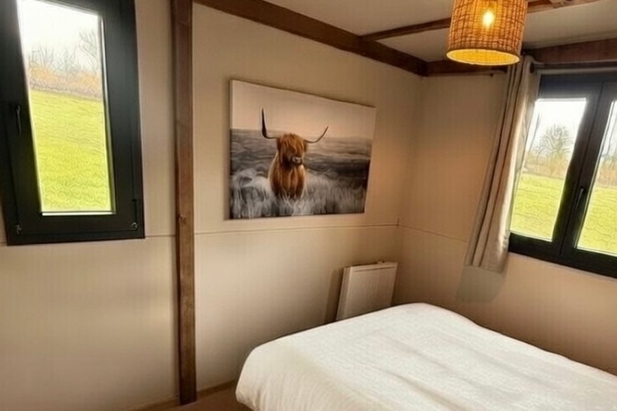 Cabane PMR Spa Animaux — photo 2