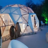 Hébergement AbracadaRoom : L'Igloo & Spa - Image 5