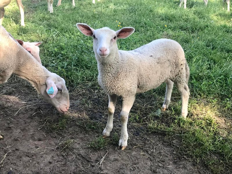 Domaine AbracadaRoom : Les Freytisses - Image 6