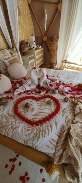 Hébergement AbracadaRoom : "M"ANON-Dôme Géodésique, piscine, spa et sauna. - Image 34