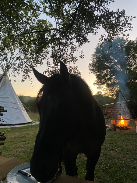 Hébergement AbracadaRoom : Tipi Lakota - Image 6