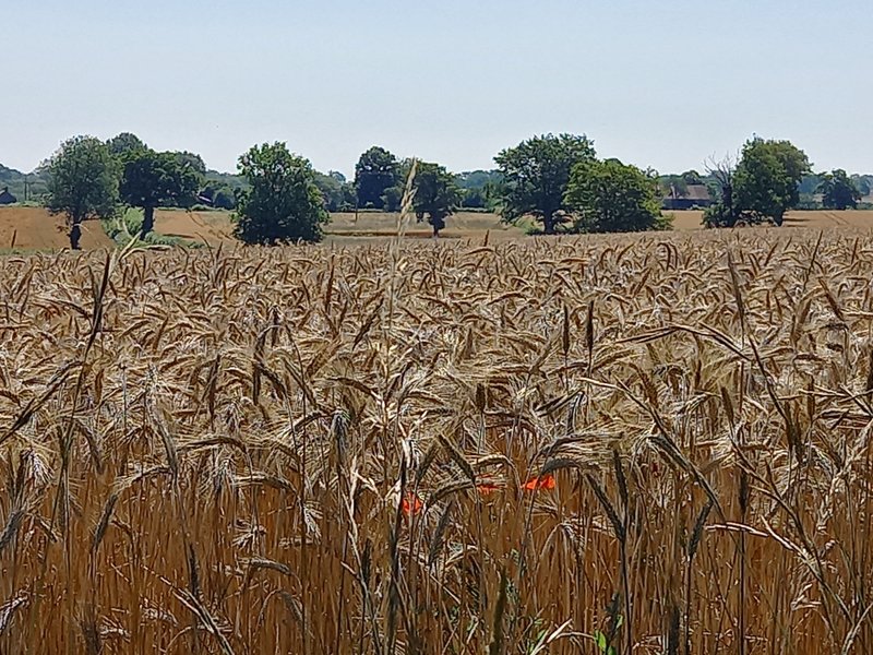 Domaine AbracadaRoom : Glamping La Fraventure - Image 32