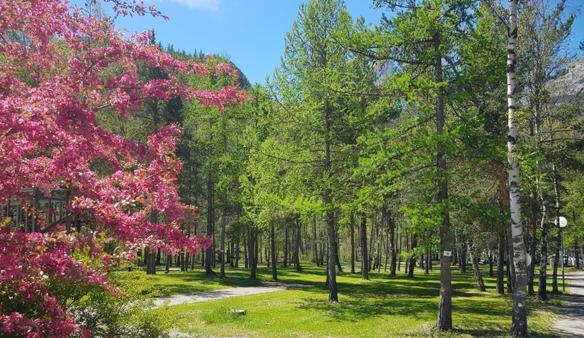 Hébergement AbracadaRoom : Refuge esprit cabane 4 pers - Image 23
