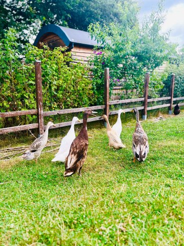 Domaine AbracadaRoom : Le Mond'Idéal - Image 11