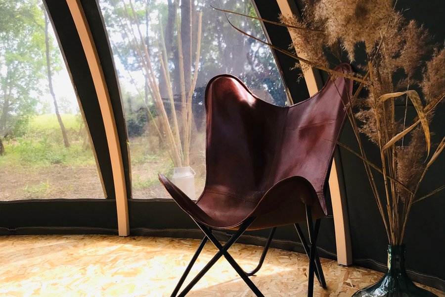 Ô cocon du Lauragais - Dôme et Spa — photo 2