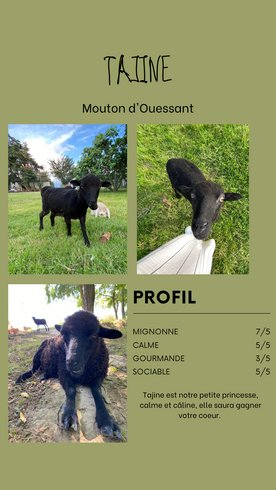 Hébergement AbracadaRoom : Dans ma Bulle & Spa - Image 30