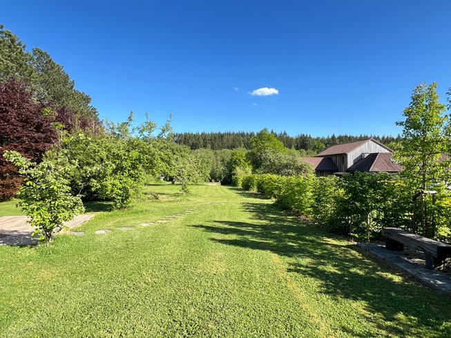 Domaine AbracadaRoom : Pine Tree tiny cottage - Image 10