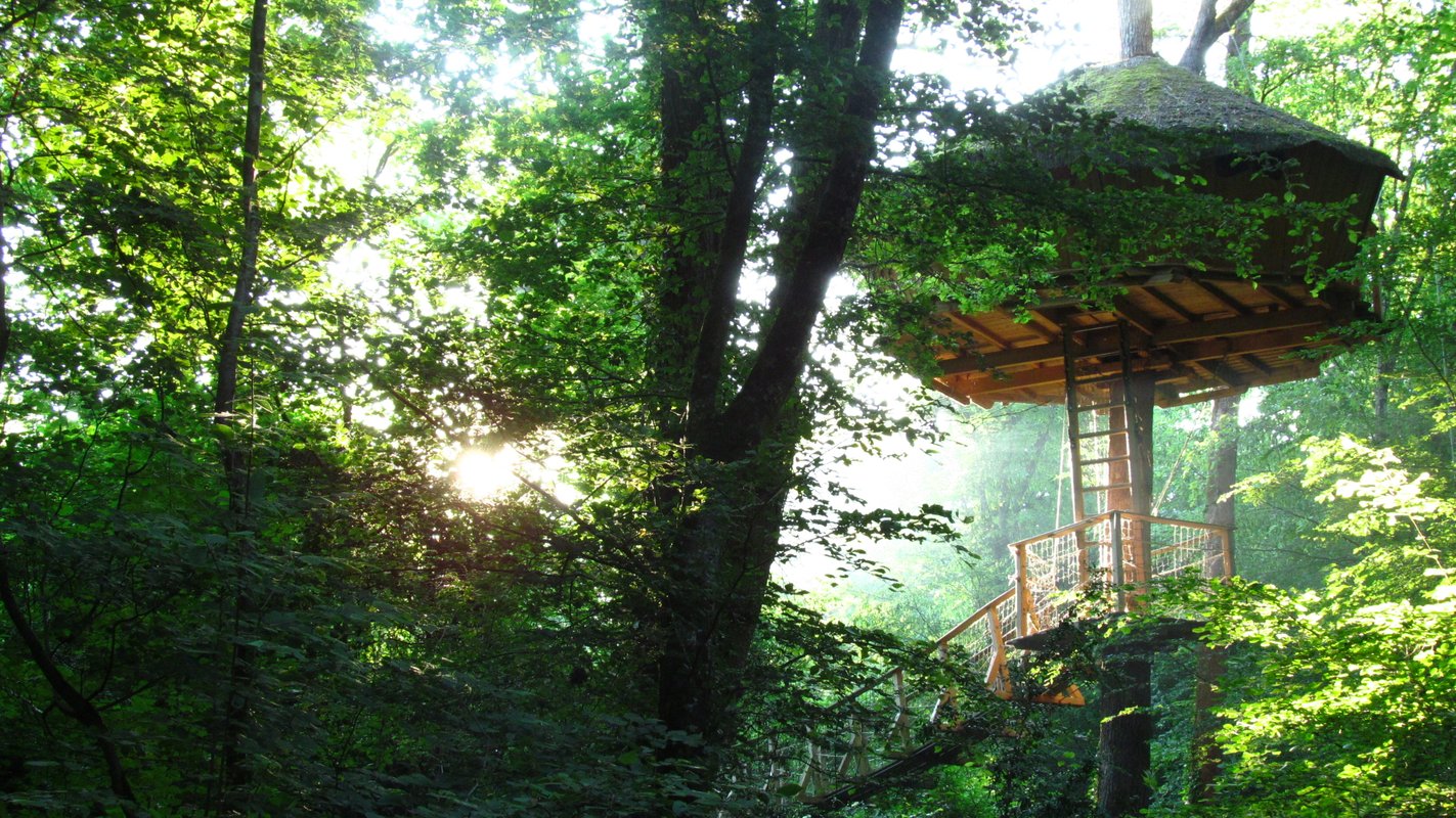 Cabane Amazonie à Magné (1)