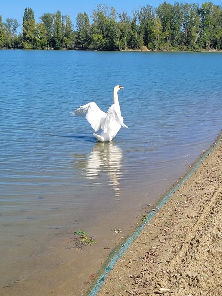 Domaine AbracadaRoom : Le Dôme du Lac de la Cadie - Image 14
