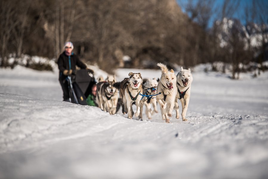 Hébergement AbracadaRoom : La Cabane Enchantée - Image 11